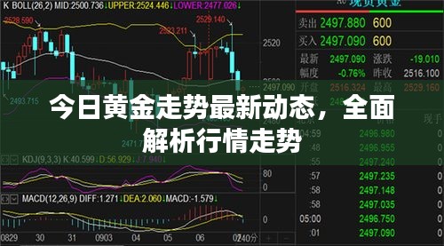 今日黄金走势最新动态，全面解析行情走势