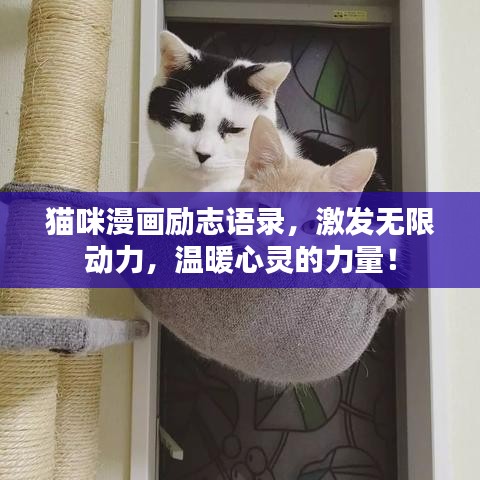 猫咪漫画励志语录，激发无限动力，温暖心灵的力量！