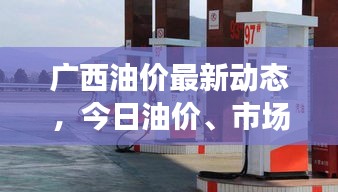 广西油价最新动态，今日油价、市场趋势及影响因素解析