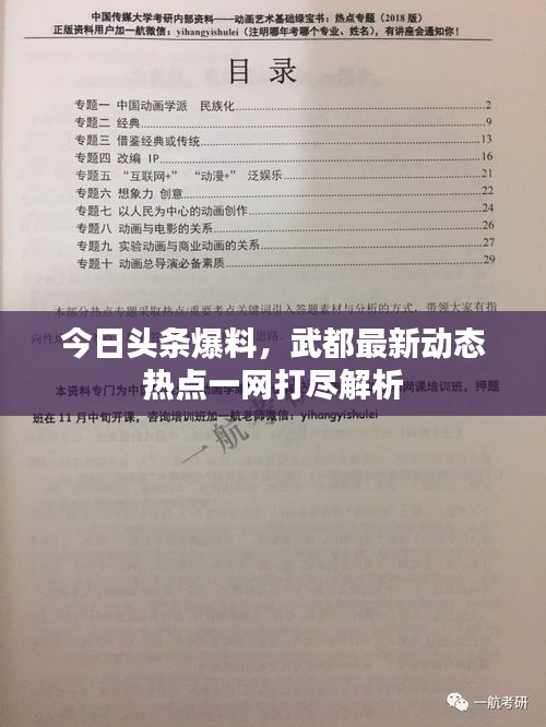 今日头条爆料，武都最新动态热点一网打尽解析