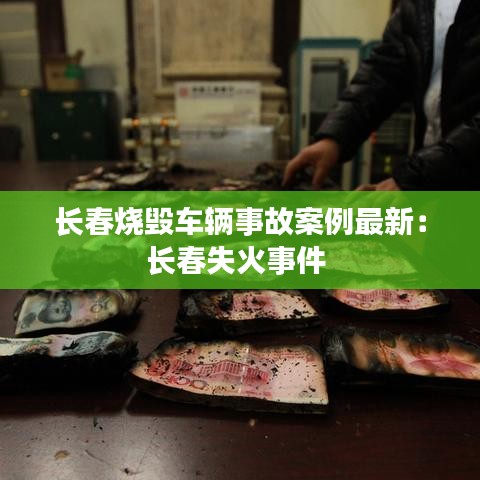 长春烧毁车辆事故案例最新：长春失火事件 
