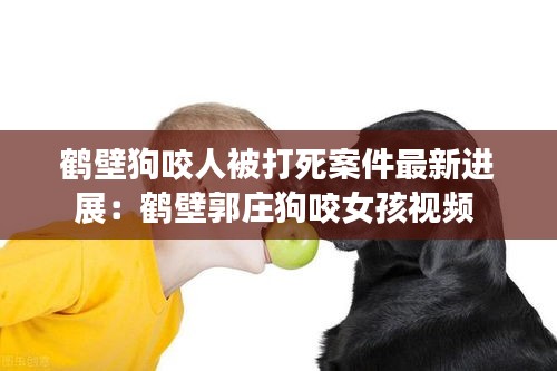 鹤壁狗咬人被打死案件最新进展：鹤壁郭庄狗咬女孩视频 