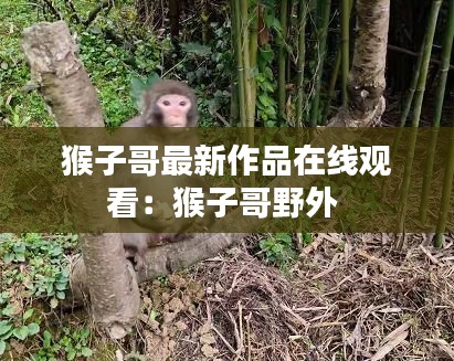 猴子哥最新作品在线观看：猴子哥野外 
