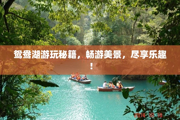 鸳鸯湖游玩秘籍，畅游美景，尽享乐趣！