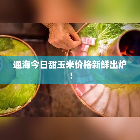 通海今日甜玉米价格新鲜出炉！