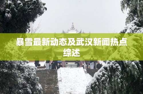 暴雪最新动态及武汉新闻热点综述
