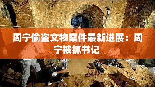 周宁偷盗文物案件最新进展：周宁被抓书记 