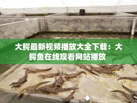 大鳄最新视频播放大全下载：大鳄鱼在线观看网站播放 