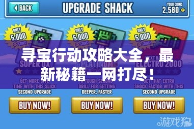 寻宝行动攻略大全，最新秘籍一网打尽！