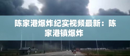 陈家港爆炸纪实视频最新：陈家港镇爆炸 