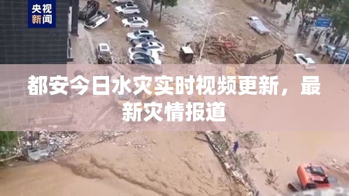 都安今日水灾实时视频更新，最新灾情报道