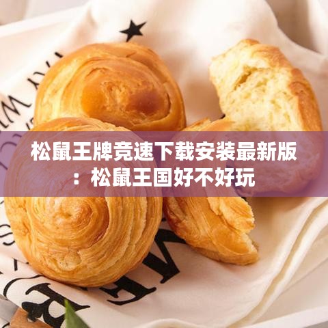 松鼠王牌竞速下载安装最新版：松鼠王国好不好玩 