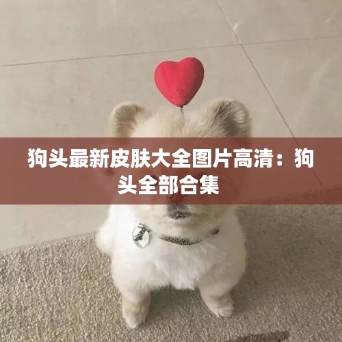 狗头最新皮肤大全图片高清：狗头全部合集 