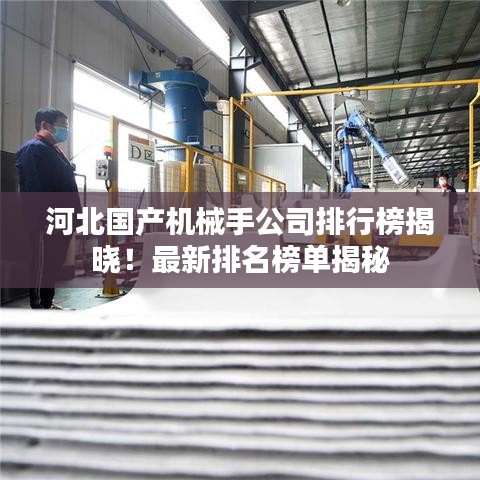 河北国产机械手公司排行榜揭晓！最新排名榜单揭秘