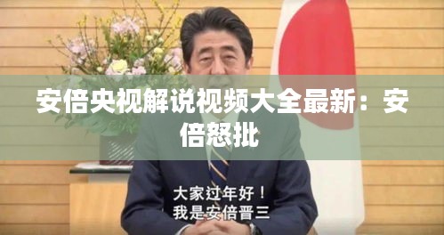 安倍央视解说视频大全最新：安倍怒批 
