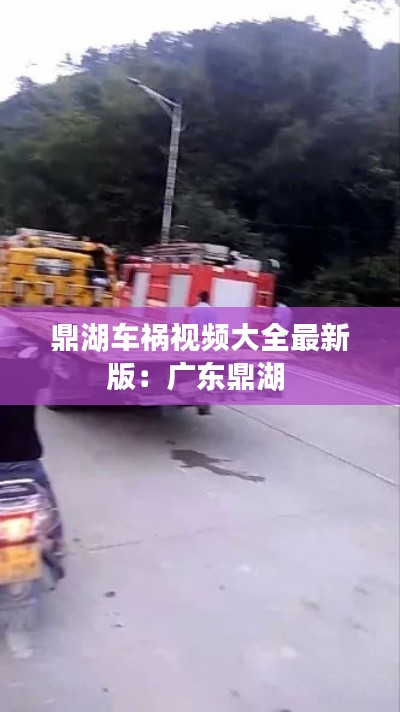 鼎湖车祸视频大全最新版：广东鼎湖 
