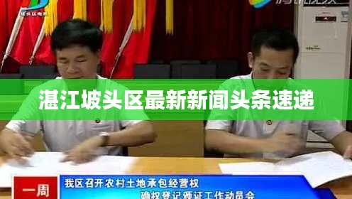 湛江坡头区最新新闻头条速递