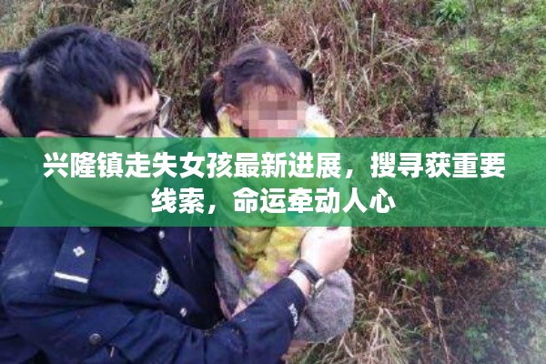 兴隆镇走失女孩最新进展，搜寻获重要线索，命运牵动人心