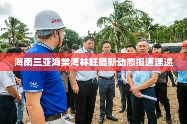 海南三亚海棠湾林旺最新动态报道速递