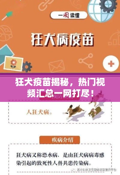 狂犬疫苗揭秘，热门视频汇总一网打尽！