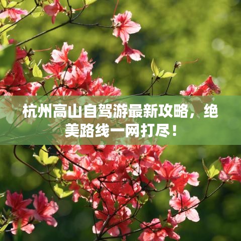 杭州高山自驾游最新攻略，绝美路线一网打尽！