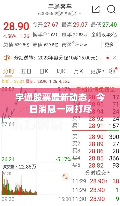 宇通股票最新动态，今日消息一网打尽