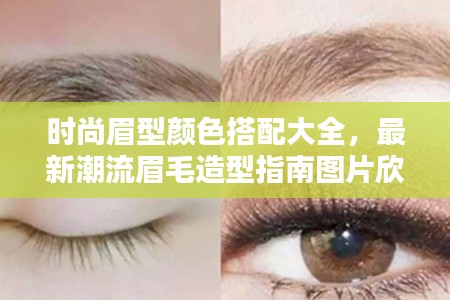 时尚眉型颜色搭配大全，最新潮流眉毛造型指南图片欣赏