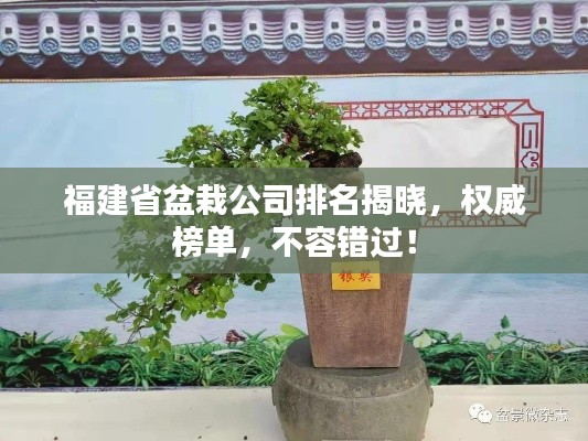 福建省盆栽公司排名揭晓，权威榜单，不容错过！