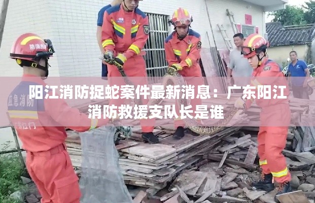 阳江消防捉蛇案件最新消息：广东阳江消防救援支队长是谁 