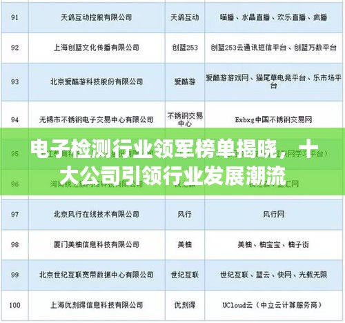 电子检测行业领军榜单揭晓，十大公司引领行业发展潮流