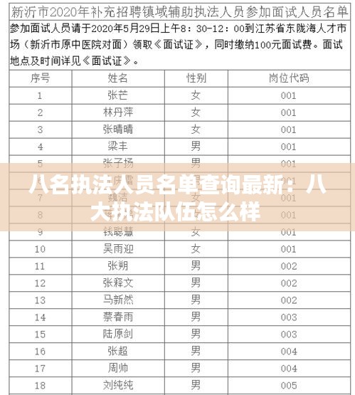 八名执法人员名单查询最新：八大执法队伍怎么样 
