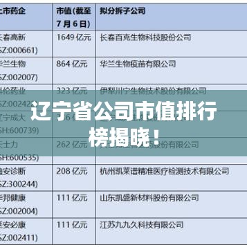 辽宁省公司市值排行榜揭晓！