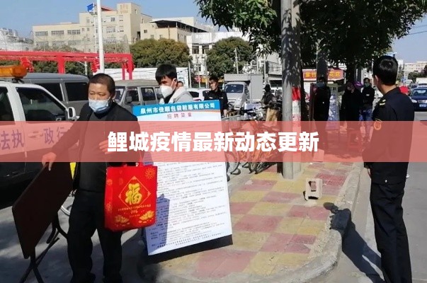 鲤城疫情最新动态更新