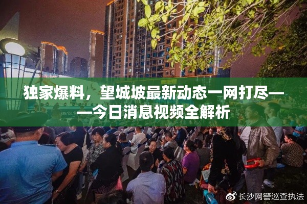 独家爆料，望城坡最新动态一网打尽——今日消息视频全解析