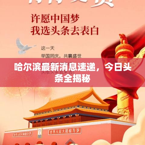 哈尔滨最新消息速递，今日头条全揭秘