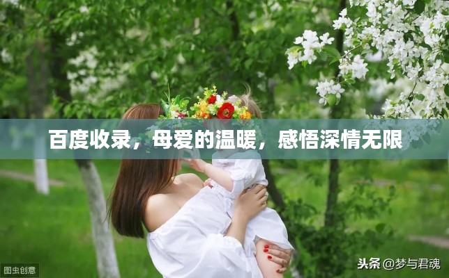 百度收录，母爱的温暖，感悟深情无限