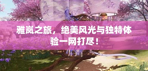 雅岚之旅，绝美风光与独特体验一网打尽！