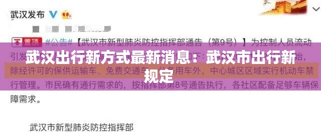 武汉出行新方式最新消息：武汉市出行新规定 
