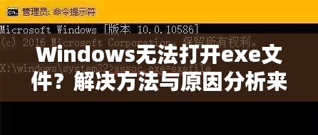 Windows无法打开exe文件？解决方法与原因分析来帮你解决！