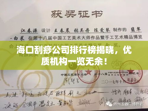 海口刮痧公司排行榜揭晓，优质机构一览无余！