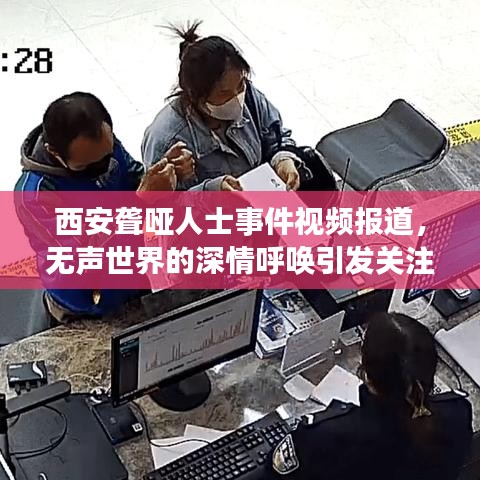 西安聋哑人士事件视频报道，无声世界的深情呼唤引发关注热潮