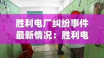 胜利电厂纠纷事件最新情况：胜利电厂全称 