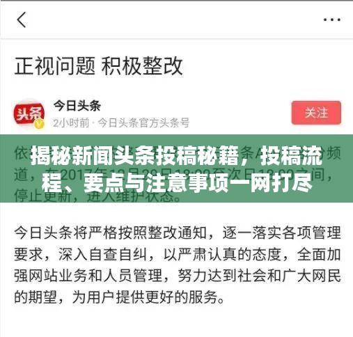 揭秘新闻头条投稿秘籍，投稿流程、要点与注意事项一网打尽