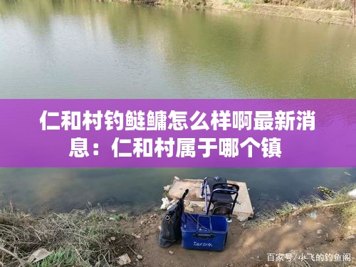 仁和村钓鲢鳙怎么样啊最新消息：仁和村属于哪个镇 