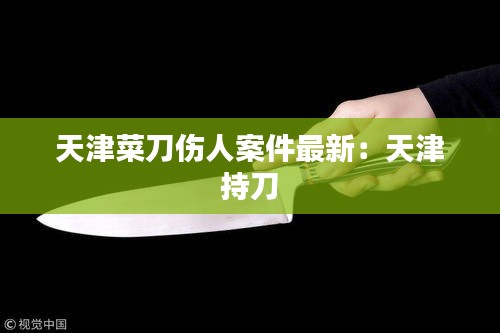 天津菜刀伤人案件最新：天津 持刀 