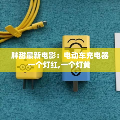 胖甜最新电影：电动车充电器一个灯红,一个灯黄 