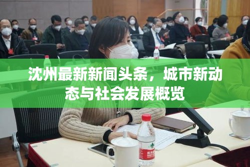 沈州最新新闻头条，城市新动态与社会发展概览