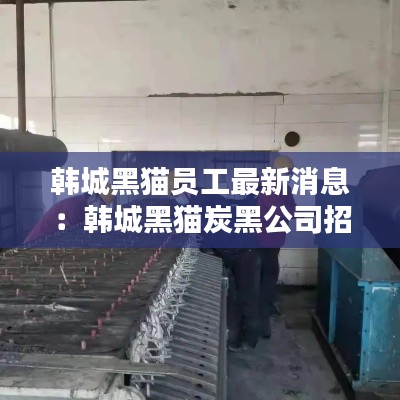 韩城黑猫员工最新消息：韩城黑猫炭黑公司招聘 