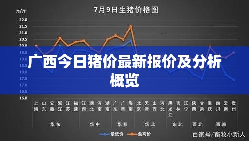 广西今日猪价最新报价及分析概览