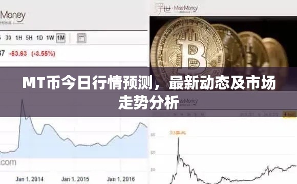 MT币今日行情预测，最新动态及市场走势分析